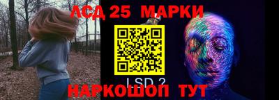 МДПВ Брянск