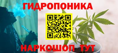 МДПВ Брянск