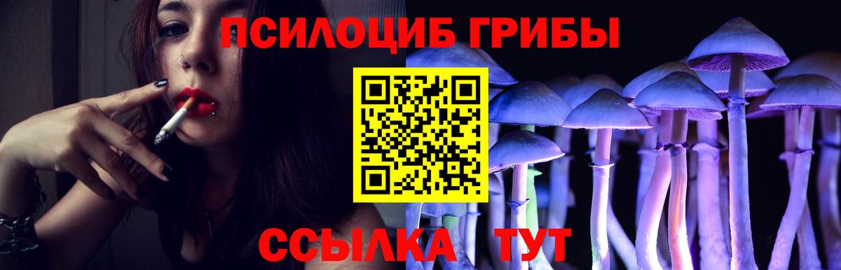 Галлюциногенные грибы прущие грибы Братск